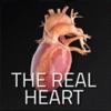 TheHeartPhysiologyApp