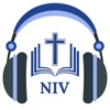 NIV Bible Audio - Holy Version