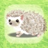 Get Hedgehog Pet for iOS, iPhone, iPad Aso Report