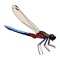 Dragonfly SA is the ultimate app for identifying and appreciating the Dragonflies and Damselflies of South Africa