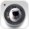 Fisheye video camera Pro