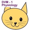 DVM 1st Year Physiology