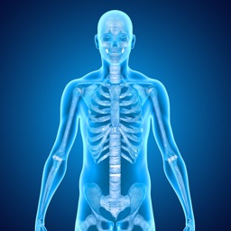 Skeletal System Medical Terms
