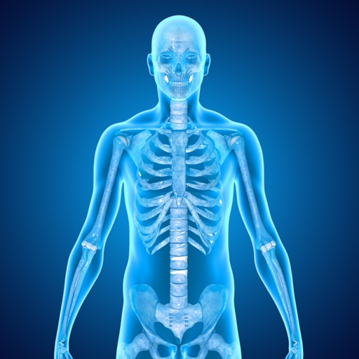 Skeletal System Medical Terms