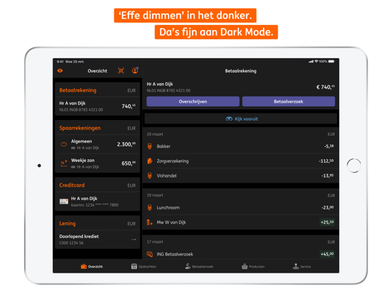 ING Bankieren iPad app afbeelding 2