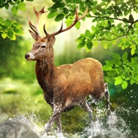 Hunting Clash: 동물 사냥 게임 3D PC 용