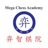 Mega Chess Academy