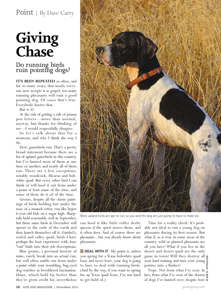 Gun Dog Magazine screenshot 3