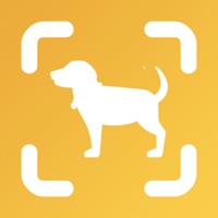 Dog Scan - Breed Identifier apk