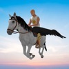 Flying Unicorn Racing 3D