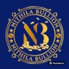 Nithila Bullion