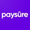 Paysure Users & Subscribers