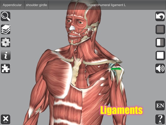 3D Anatomy Screenshots