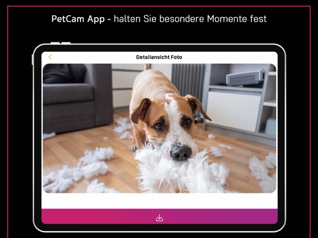 pet cam with app