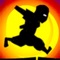 Icon Ninja Fun Run: Shadow Warrior