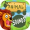 Animal Sounds is an educational game that help you to learn about animals sounds, noises and names
