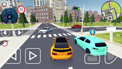 Driving School 3D Screenshot 6