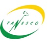 TANESCO SACCOS