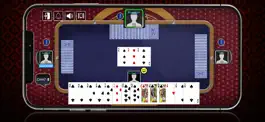 Game screenshot Murlan Pro apk