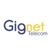 Gignet Fibra