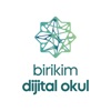 Birikim Dijital