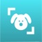 Icon Dog Scanner