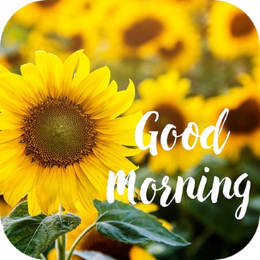 Good Morning Love Messages Download