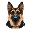 German Shepherd Stickers App