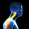 Neck Posture Therapy