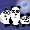 Icon 3 Pandas 2: Night - Logic Game