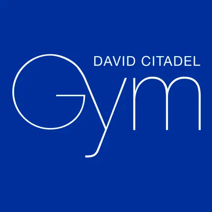 DAVID CITADEL GYM Cheats
