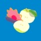 Icon Fruit Challenge 3D