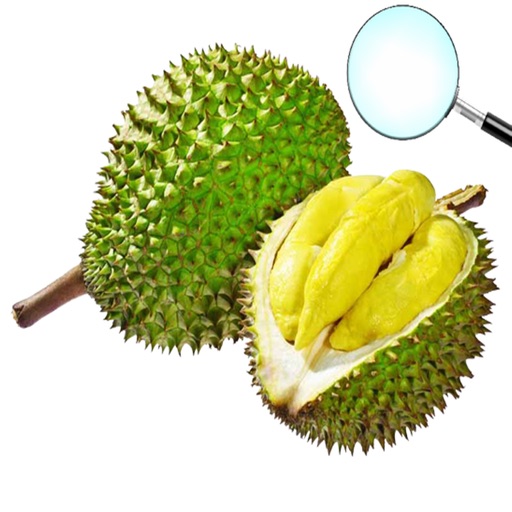 Detector Durian By Cantho University Software Center