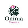 Omnia flowers - أمنيه فلاورز