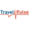 TravelPulse Telematics System