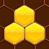 Icon Honeycomb Hexa Block Puzzle