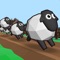 Can you create the biggest flock