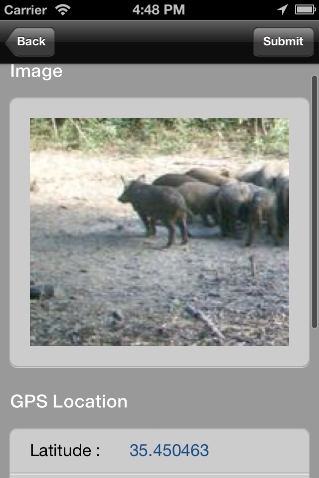 Squeal on Pigs screenshot 3