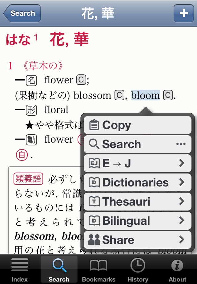 Luminous E-J Dictionary screenshot 3