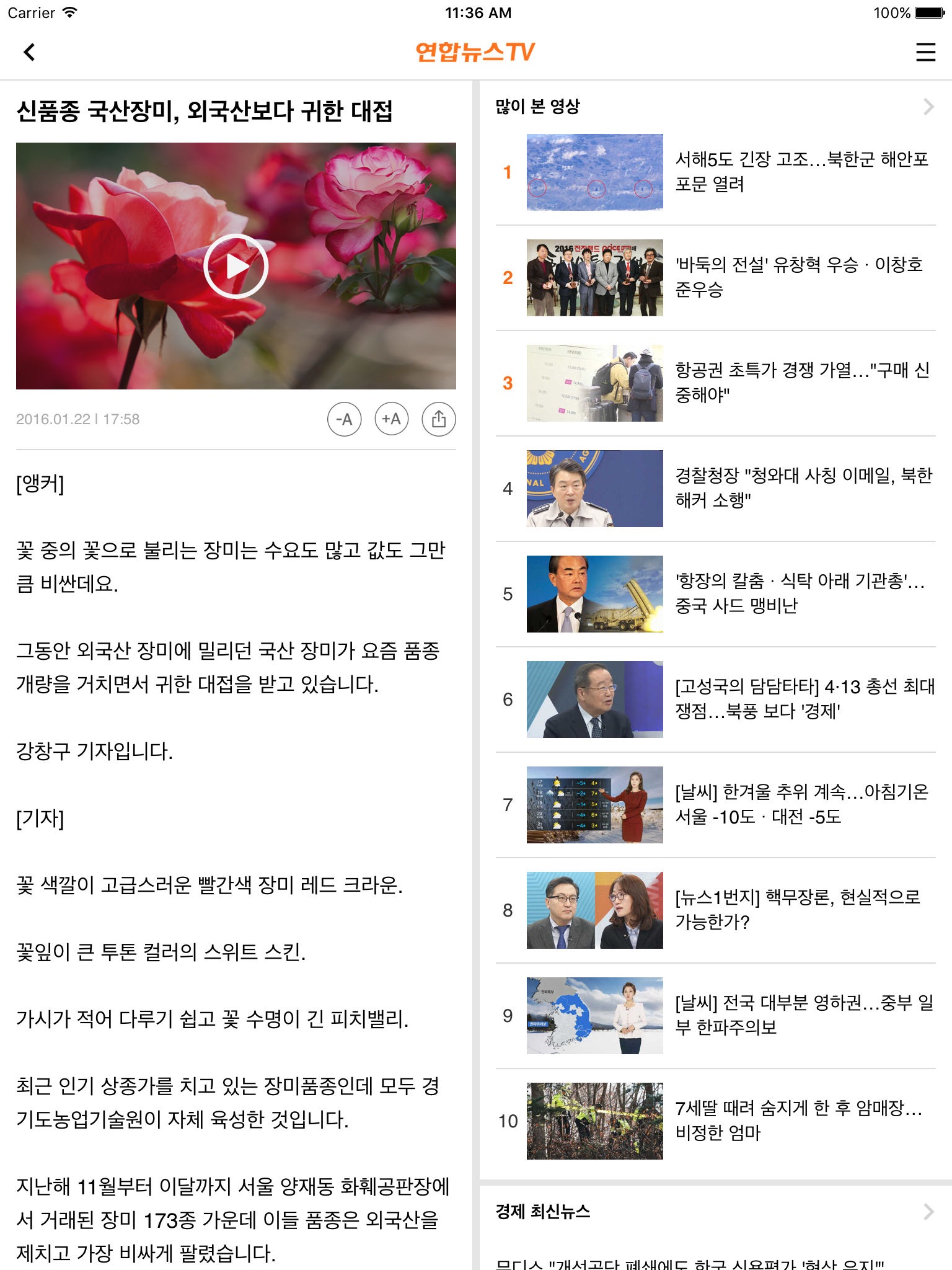 연합뉴스TV screenshot 3