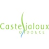 Ville de Casteljaloux