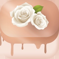 Bakely Wedding Cake Decorating logo