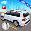 Car Driving School Parking Sim