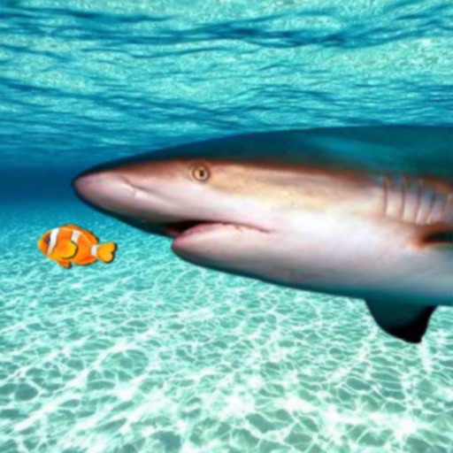 Real Shark Simulator iOS App