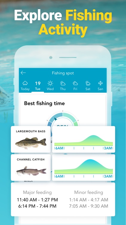 Fishing Forecast - Fishbox App
