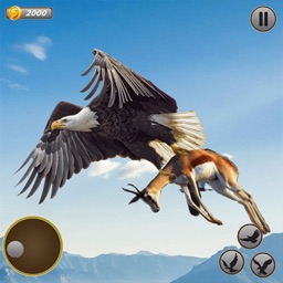 Eagle Simulator