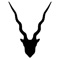 Want to rule the 3d archery range