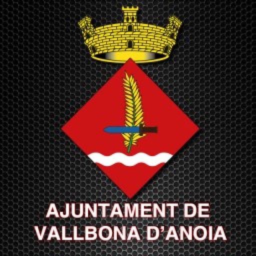 Aj. Vallbona icon