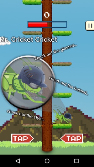 Cricket Jump