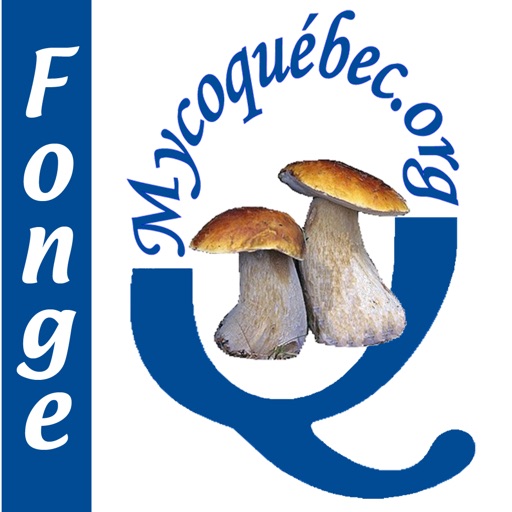 La fonge du Québec